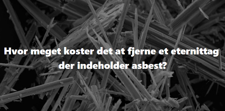 Hvor meget koster det at fjerne et asbestholdigt eternittag